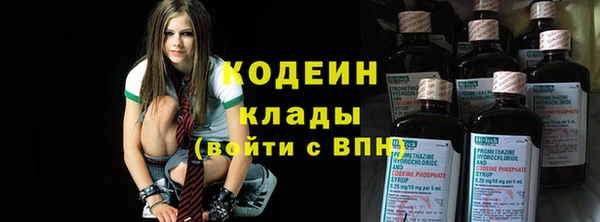 амф Гусев