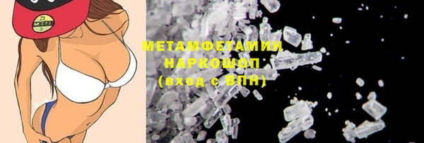 гидра Михайловка