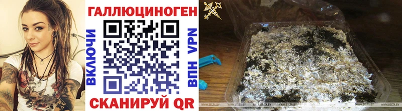 Псилоцибиновые грибы GOLDEN TEACHER купить наркотики цена Рудня